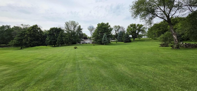2473 Marshall St, Albert Lea, MN 56007 - view of grassy yard