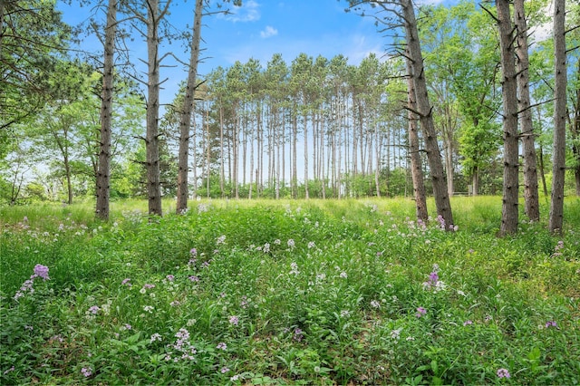 14557 661st St, Greenfield Twp, MN 55981 - photo 2