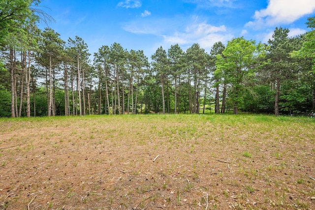 14557 661st St, Greenfield Twp, MN 55981 - photo 8