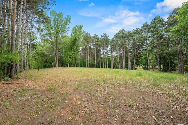 14557 661st St, Greenfield Twp, MN 55981 - photo 9