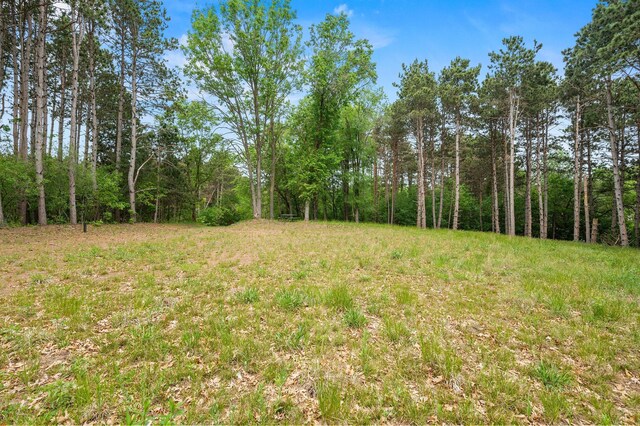 14557 661st St, Greenfield Twp, MN 55981 - photo 10