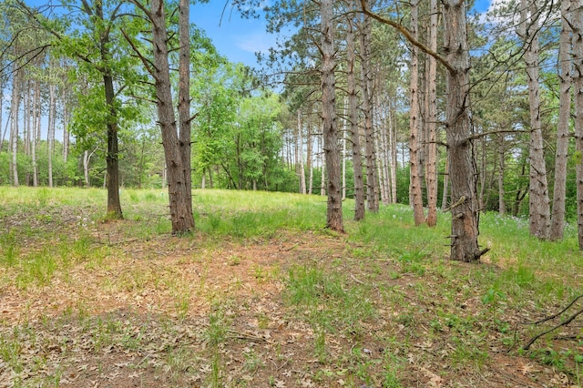 14557 661st St, Greenfield Twp, MN 55981 - photo 11