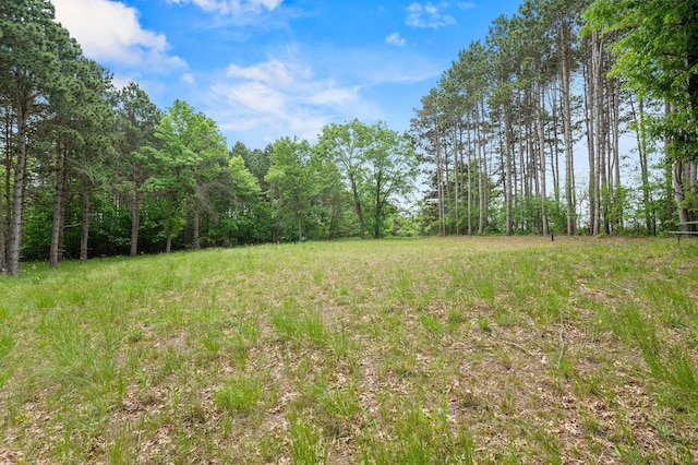 14557 661st St, Greenfield Twp, MN 55981 - photo 12