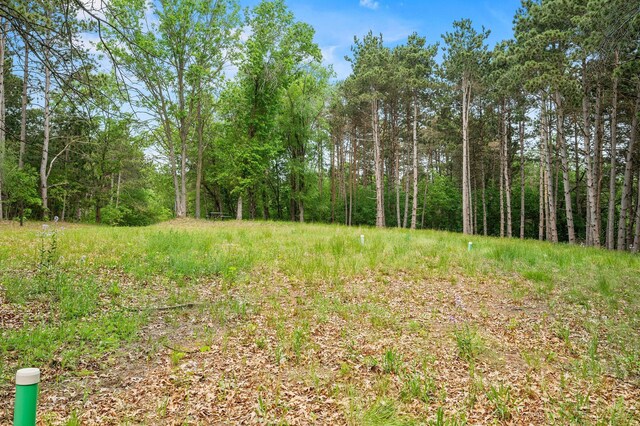 14557 661st St, Greenfield Twp, MN 55981 - photo 13