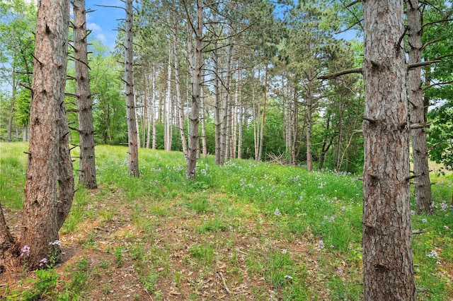 14557 661st St, Greenfield Twp, MN 55981 - photo 14