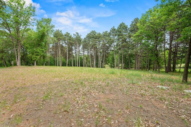 14557 661st St, Greenfield Twp, MN 55981 - photo 16