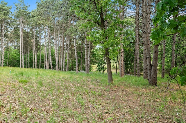 14557 661st St, Greenfield Twp, MN 55981 - photo 17