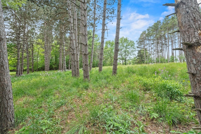 14557 661st St, Greenfield Twp, MN 55981 - photo 18