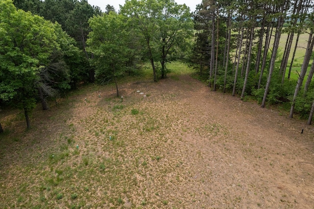 14557 661st St, Greenfield Twp, MN 55981 - photo 20