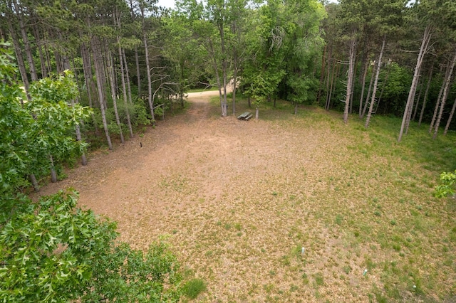 14557 661st St, Greenfield Twp, MN 55981 - photo 25