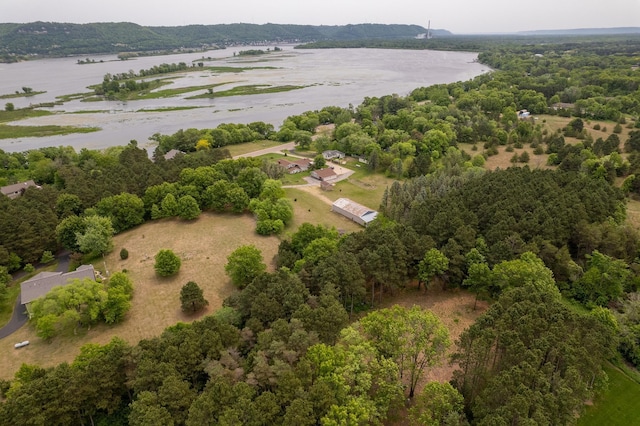 14557 661st St, Greenfield Twp, MN 55981 - photo 28