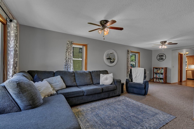 216 1st St SW, Melrose, MN 56352 - living area featuring ceiling fan, healthy amount of natural light, carpet flooring, and a textured ceiling