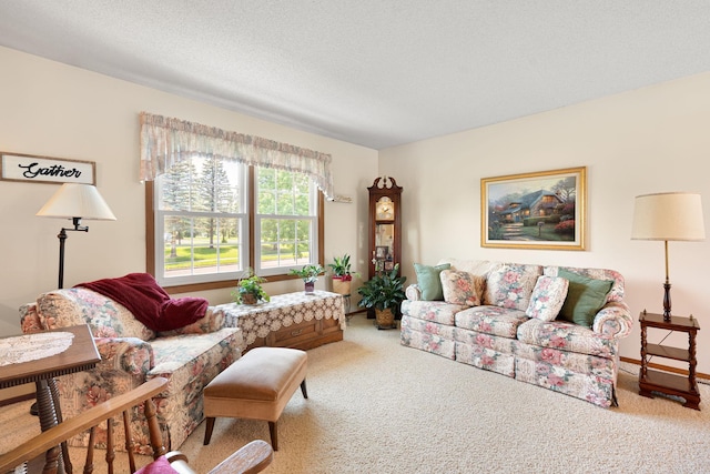 1602 19th Ave SW, Austin, MN 55912 - view of carpeted living area