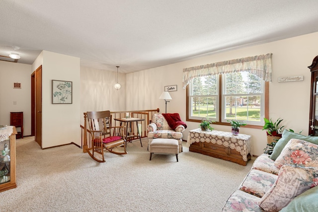 1602 19th Ave SW, Austin, MN 55912 - living room featuring light carpet