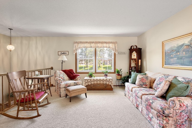 1602 19th Ave SW, Austin, MN 55912 - living room featuring light carpet