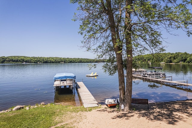 29501 Maplewood Rd Longshore, Unit Longshore, Callaway, MN 56521 - dock with a water view and a wooded view