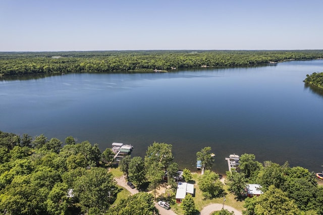 29501 Maplewood Rd Longshore, Unit Longshore, Callaway, MN 56521 - bird's eye view of a heavily wooded area and a nearby body of water
