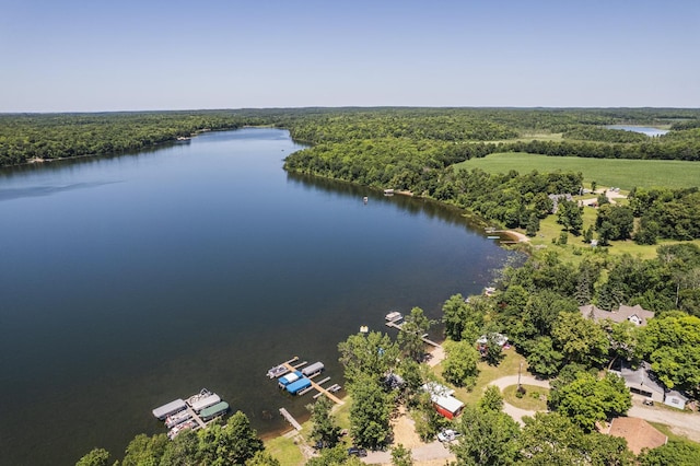 29501 Maplewood Rd Longshore, Unit Longshore, Callaway, MN 56521 - bird's eye view of a nearby body of water