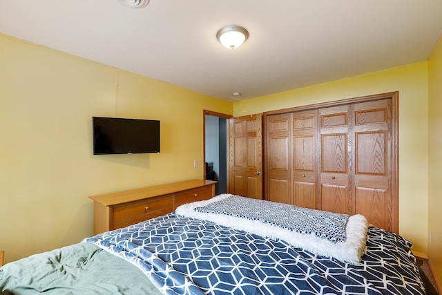 818 Myrtle St, Buffalo, MN 55313 - bedroom featuring a closet