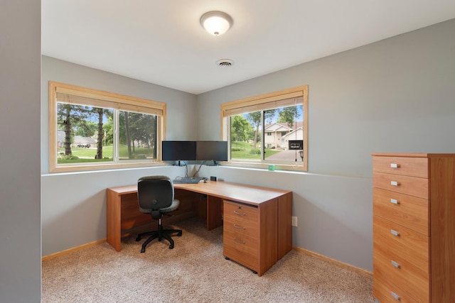 818 Myrtle St, Buffalo, MN 55313 - office featuring light colored carpet