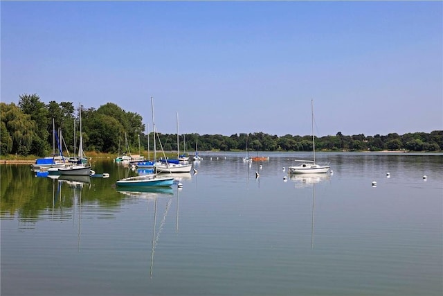 5043 Nokomis Ave, Minneapolis, MN 55417 - water view with a floating dock and a forest