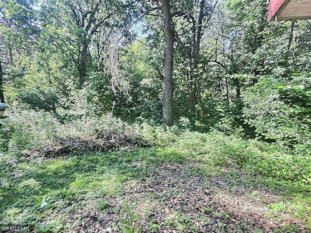 1938 149th Ave NE, Ham Lake, MN 55304 - view of tree filled area