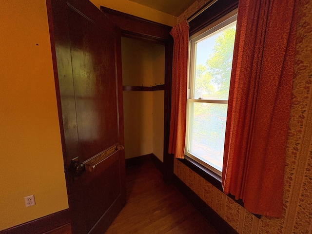 201 3rd St SE, Renville, MN 56284 - corridor with dark wood-style floors