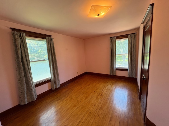 201 3rd St SE, Renville, MN 56284 - unfurnished room featuring healthy amount of natural light and wood finished floors