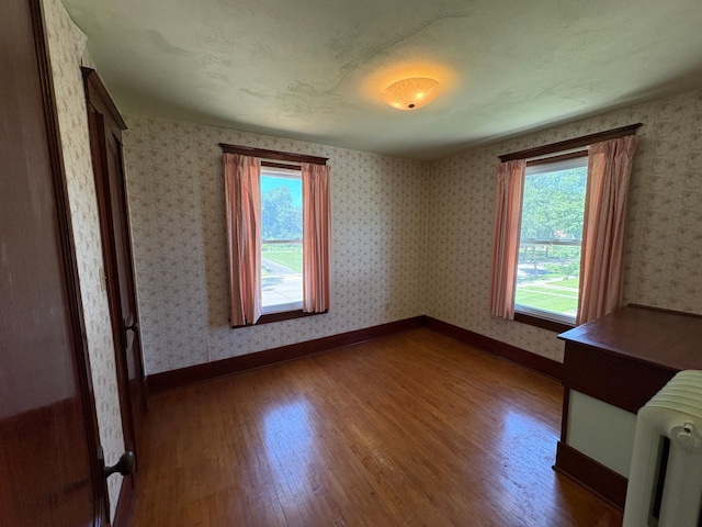 201 3rd St SE, Renville, MN 56284 - spare room with wood finished floors and radiator