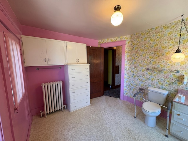 201 3rd St SE, Renville, MN 56284 - bathroom with radiator, wallpapered walls, and carpet