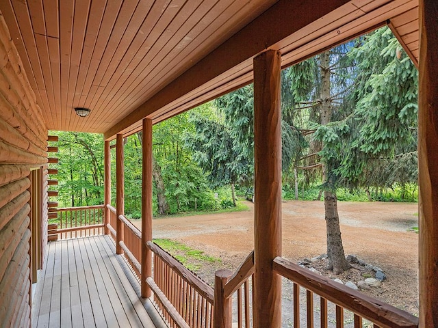 20980 Parkfield Ave, Spring Lake Twp, MN 55352 - view of porch