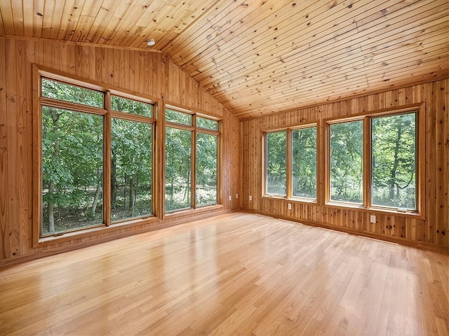 20980 Parkfield Ave, Spring Lake Twp, MN 55352 - unfurnished sunroom featuring vaulted ceiling and plenty of natural light