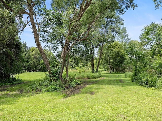 20980 Parkfield Ave, Spring Lake Twp, MN 55352 - view of green lawn