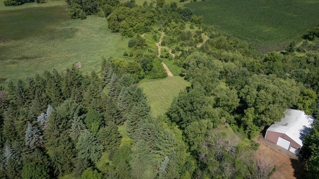 20980 Parkfield Ave, Spring Lake Twp, MN 55352 - view of property location featuring a heavily wooded area