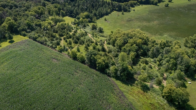 20980 Parkfield Ave, Spring Lake Twp, MN 55352 - aerial overview of property's location