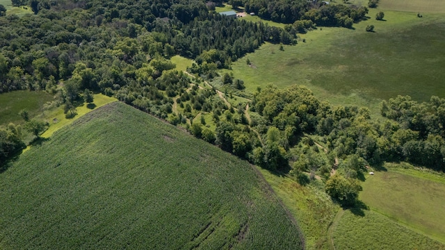 20980 Parkfield Ave, Spring Lake Twp, MN 55352 - aerial overview of property's location