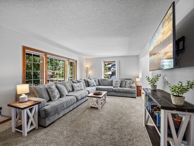 724 2nd Ave S, Buffalo, MN 55313 - carpeted living area featuring plenty of natural light and a textured ceiling