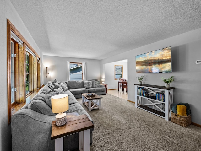 724 2nd Ave S, Buffalo, MN 55313 - carpeted living room with a textured ceiling and baseboards