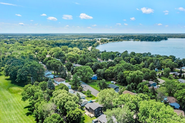 724 2nd Ave S, Buffalo, MN 55313 - aerial view of residential area featuring a large body of water