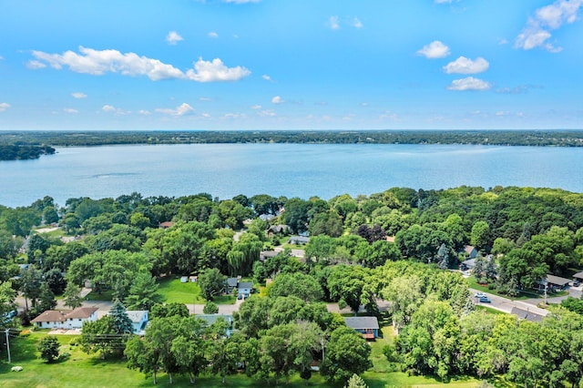 724 2nd Ave S, Buffalo, MN 55313 - aerial view of a large body of water