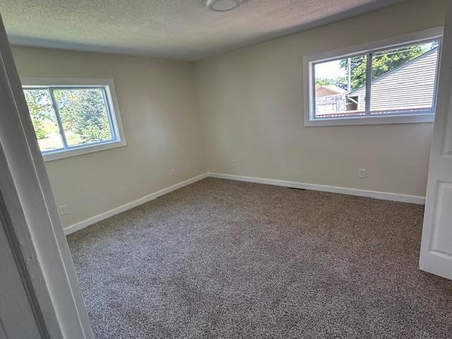 504 8th Ave, Grand Rapids, MN 55744 - unfurnished room with carpet and a textured ceiling