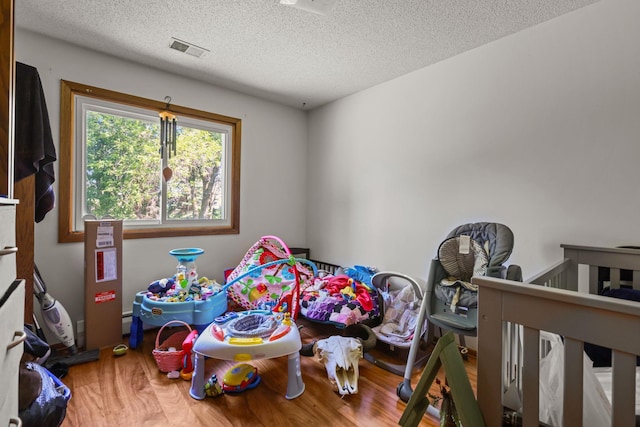 8972 Trista Ln, Saint Bonifacius, MN 55375 - playroom with wood finished floors and a textured ceiling