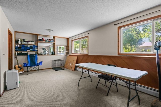 8972 Trista Ln, Saint Bonifacius, MN 55375 - game room with a textured ceiling, wainscoting, carpet, wood walls, and baseboard heating