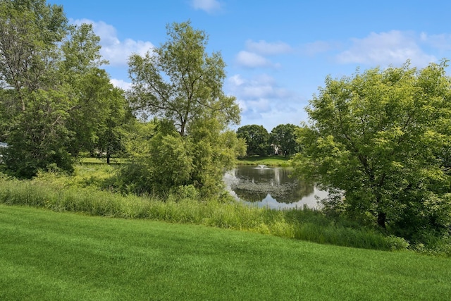 7577 15th Street Ln N, Oakdale, MN 55128 - photo 42