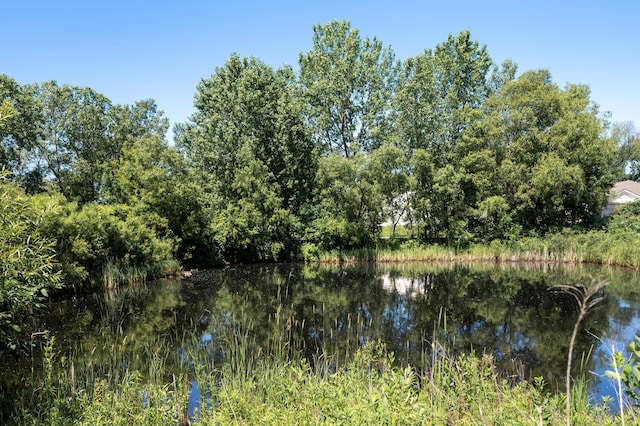 17198 93rd Pl N, Maple Grove, MN 55311