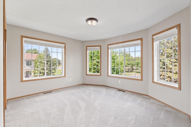 5607 100th Ln N, Brooklyn Park, MN 55443 - unfurnished room with plenty of natural light, carpet flooring, and a textured ceiling