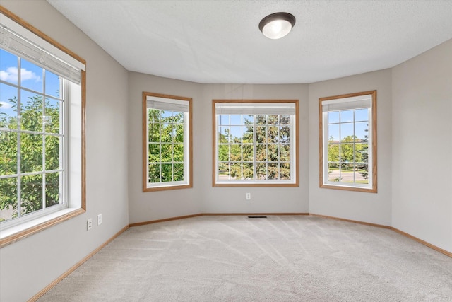 5607 100th Ln N, Brooklyn Park, MN 55443 - spare room with plenty of natural light and light colored carpet