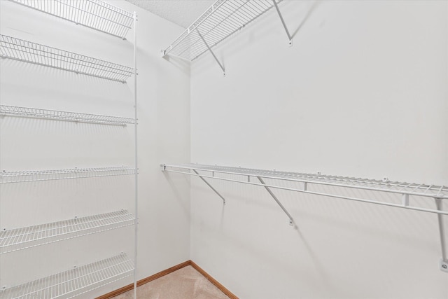 5607 100th Ln N, Brooklyn Park, MN 55443 - spacious closet with light colored carpet