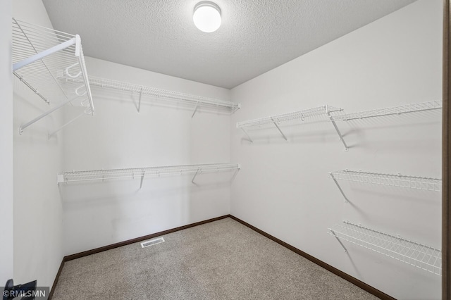 12390 3rd St NE, Blaine, MN 55434 - photo 34