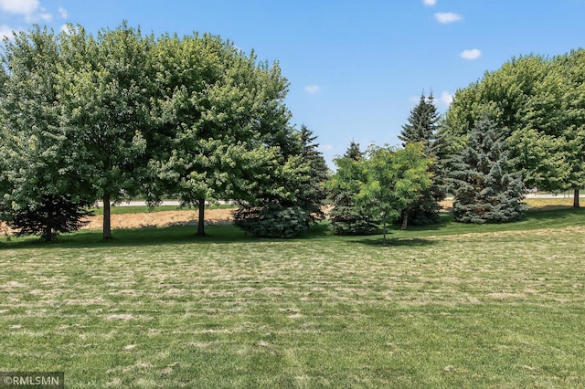 12390 3rd St NE, Blaine, MN 55434 - photo 48